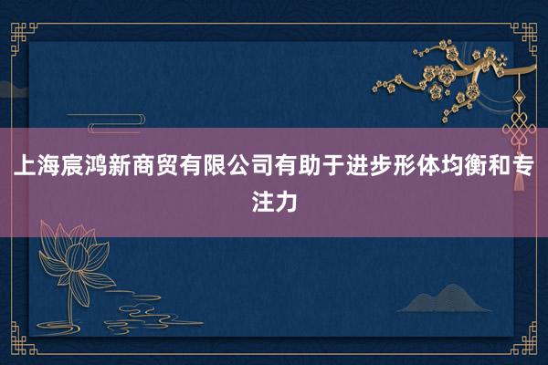 上海宸鸿新商贸有限公司有助于进步形体均衡和专注力